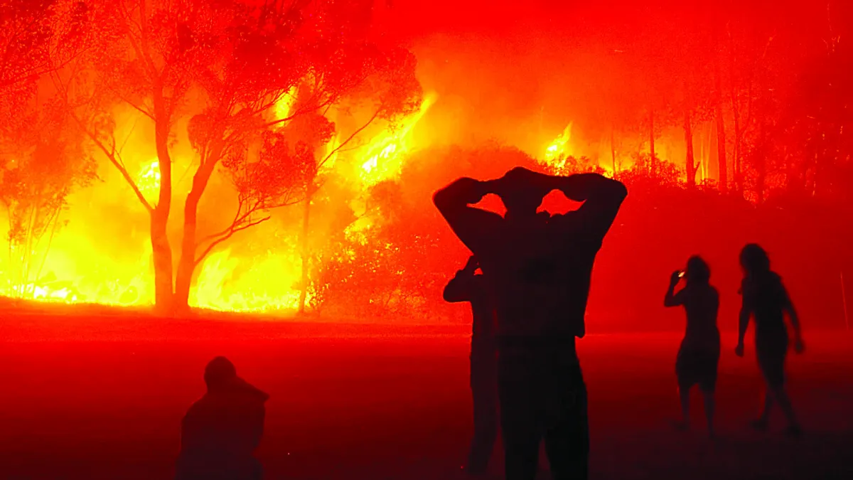  Les véritables visages des incendies de forêts !