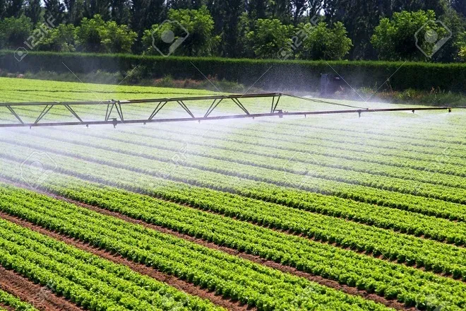Relizane: Pour une meilleure répartition des ressources hydriques