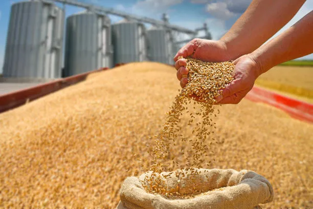 Un nouvel apport pour le stockage des céréales