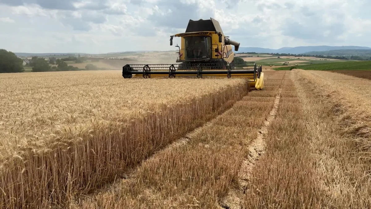 Une production de 34.000 quintaux de céréales