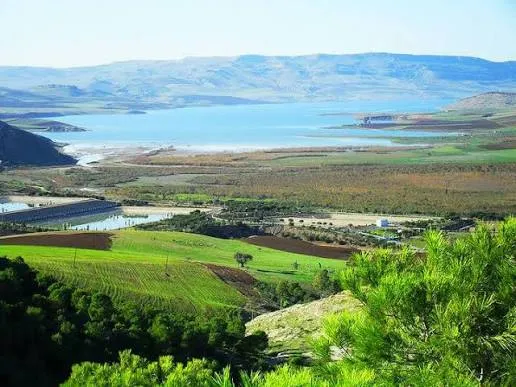 Les massifs forestiers sous surveillance