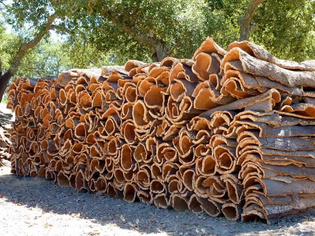 La production de liège en hausse