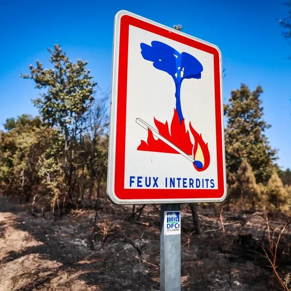 Feux de forêts : des activités interdites