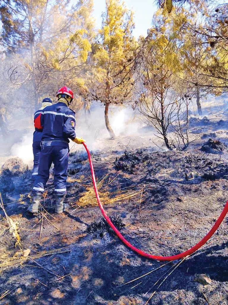 Incendies de forêts : la vigilance reste de mise