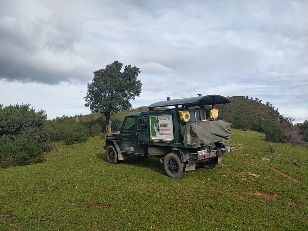 Cinq postes de surveillance dans les forêts pour une intervention rapide