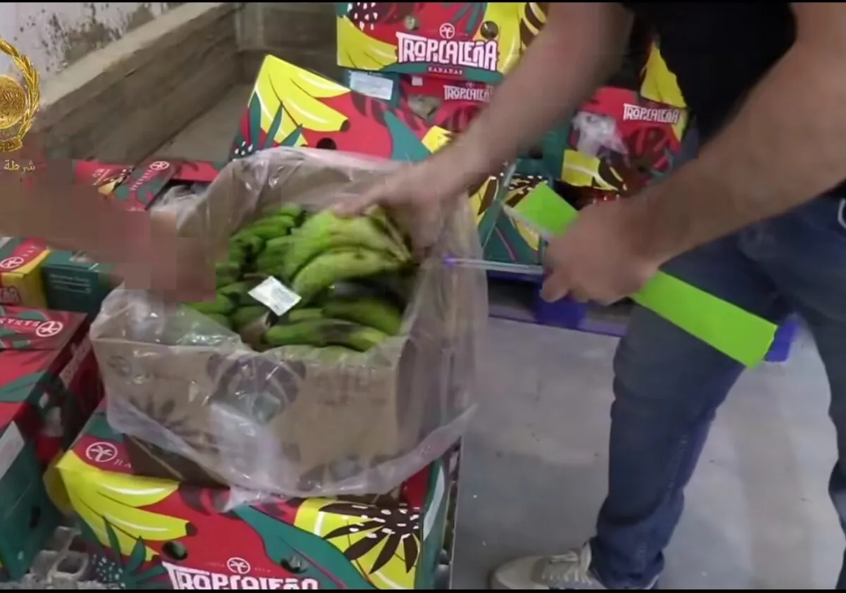 Près de 28 quintaux de bananes saisis