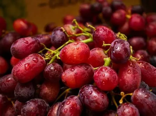 La production des fruits en hausse