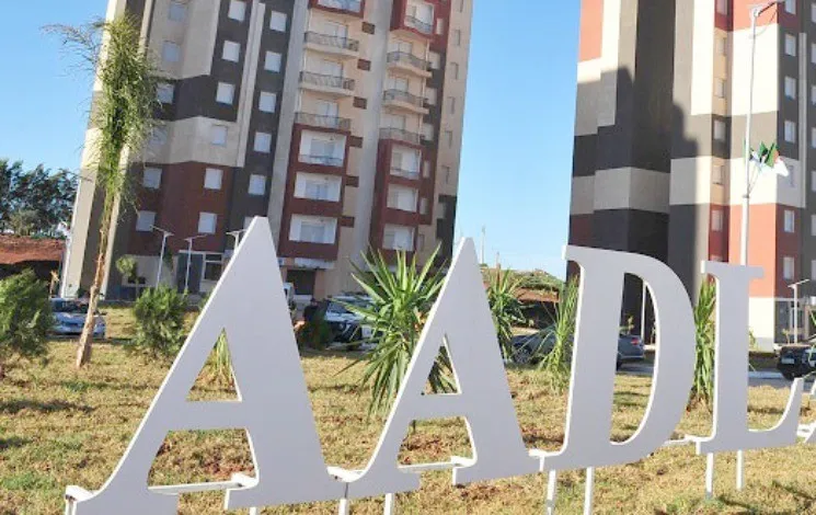 Les premiers logements attribués le 1er novembre  