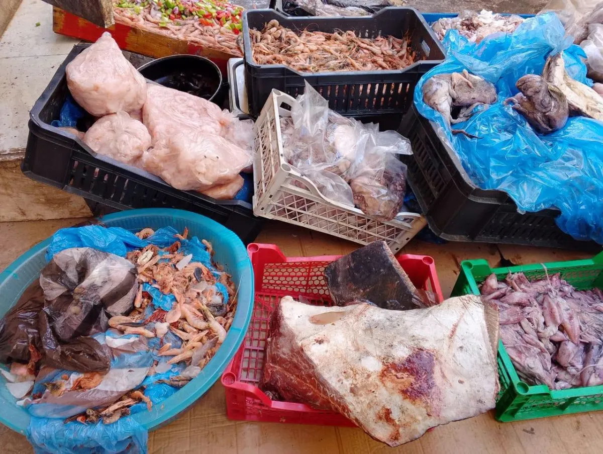 383 kg de poissons impropres à la consommation saisis  