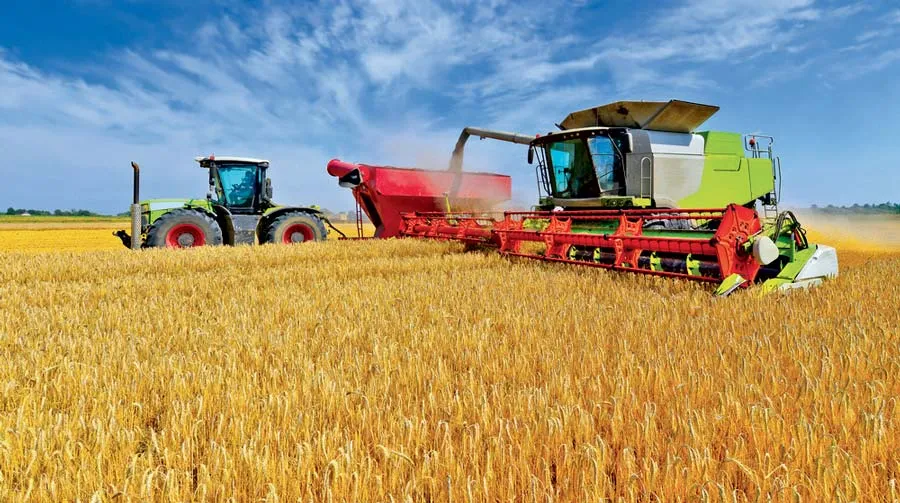 940.000 quintaux de céréales produits  