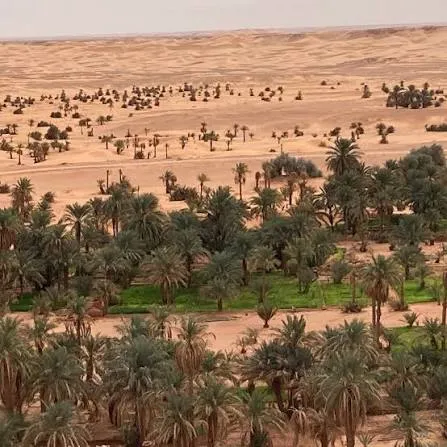 Mobilisation face à l’avancée des sables