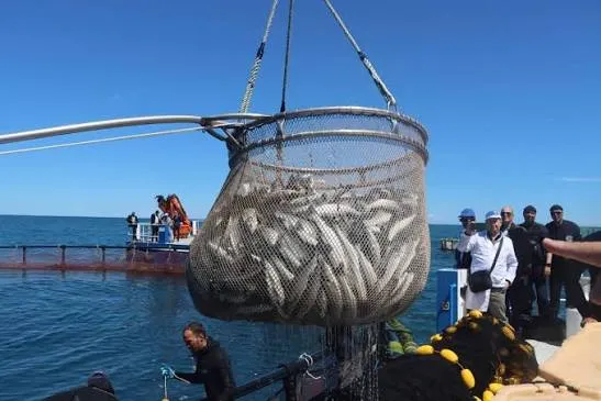La production de poissons en hausse  