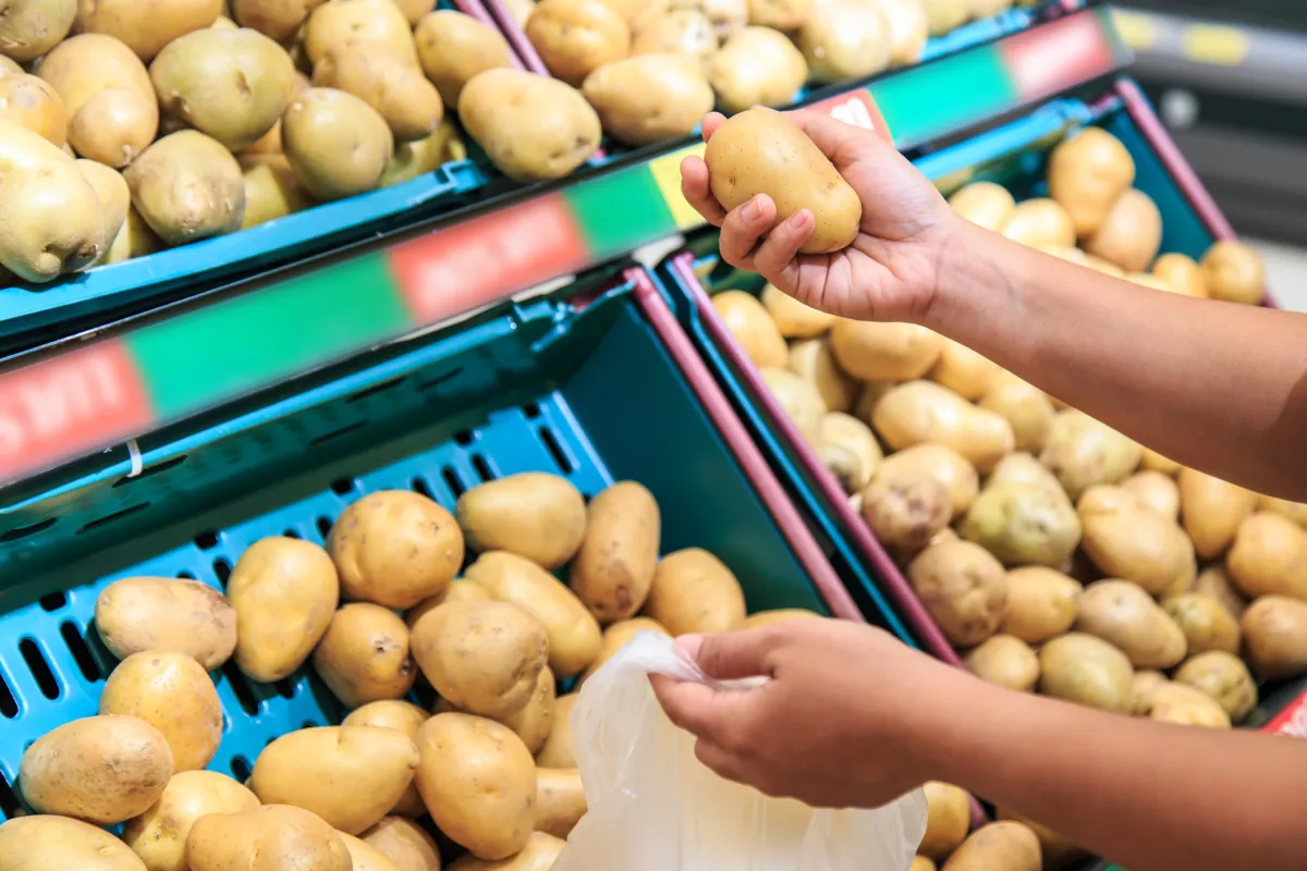 Le prix de la pomme de terre fixé entre 80 et 90 DA le kg