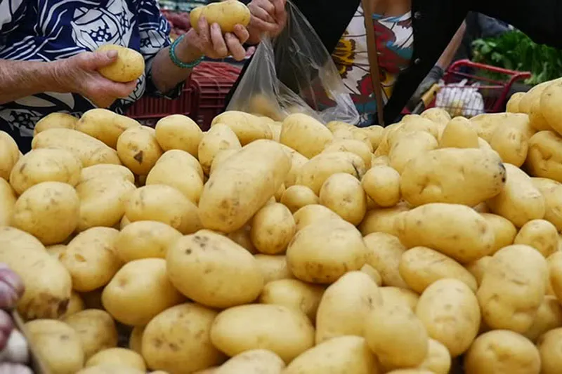 Pomme de terre : des mesures pour réguler le marché