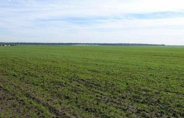 Près de 140 ha destinés à la concession agricole  