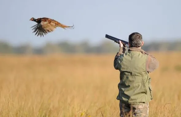Près de 900 autorisations pour encadrer la chasse terrestre